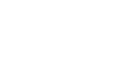 logo groupe berthier Feexti