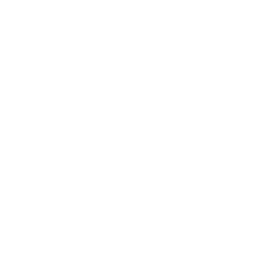 logo groupe berthier Feexti